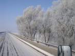 Road.jpg