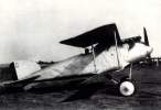 800px-Albatross_D-II.jpg