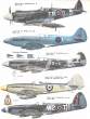 [aviation] - [squadron Signal] - [in action n°039] - Supermarine Spitfire_Page_31_Image_0001.jpg