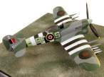 TYPHOON-extra-1.jpg