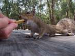 Hungry.jpg