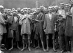 800px-Ebensee_concentration_camp_prisoners_1945.jpg