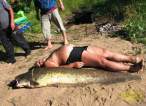 Big fish.jpg