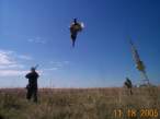 hunt 5.jpg