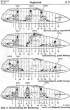 bv141layout.jpg