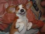 Smile.jpg