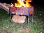 Barbecue.jpg