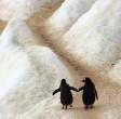 Penguins.jpg