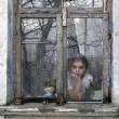 Window.jpg