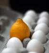 Egg.jpg