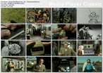 thumbs20080506180125.jpg
