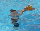 Beer.jpg