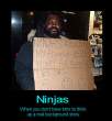 ninja.jpg