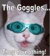 lolcatsdotcomkkaf32pxffrs7l3m.jpg