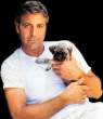 george_clooney_11.jpg