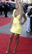 danielle_lloyd_yellow_cleava_12_big.jpg