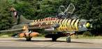 SU22 Pol.jpg
