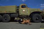 actiongirlsveronicavanozaroadblock053.jpg