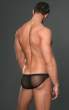 williamlevy2.jpg
