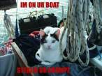 boat.jpg