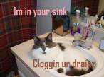 sink.jpg