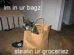 Stealin.jpg