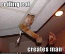 creates.jpg