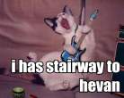 stairway-cat.jpg