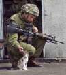 war-kitten.jpg