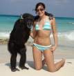chimp-on-vacation.jpg