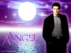 David Boreanaz 10.jpg