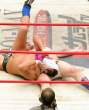 4033_2017_friendly-wrestler.jpg