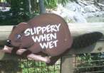 5507_2754_slippery-beaver.jpg