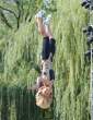 kelly_ripa_upside_3_big.jpg