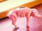 piggybank.jpg