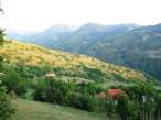 pogl iz cetkovica.jpg