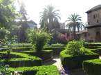 Al Hambra in Granada - Spain (garden).jpg