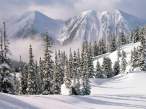 Winter.jpg