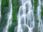 Gifford Pinchot National Forest, Washington - 16.jpg