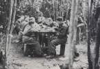 leto 1945..jpg