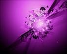 pink.jpg