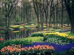Keukenhof Gardens, Lisse, The Netherlands.jpg