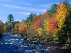 Colors_of_New_England251508_2.jpg