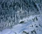 beautiful winter landscape_20.JPG