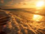 In the Golden Tide.jpg