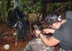 Farc38s.jpg