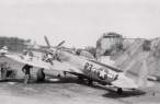 P-47D373rdFgStarylAustin.jpg