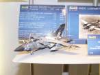 revell_08_of_47.jpg