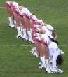Stretching is Fantastic.jpg