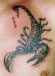 scorpion_1.jpg